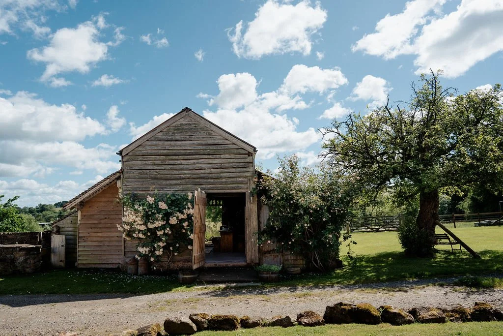 RedfordFarmStaysJune26_SarahLaurenPhotography-29.jpg