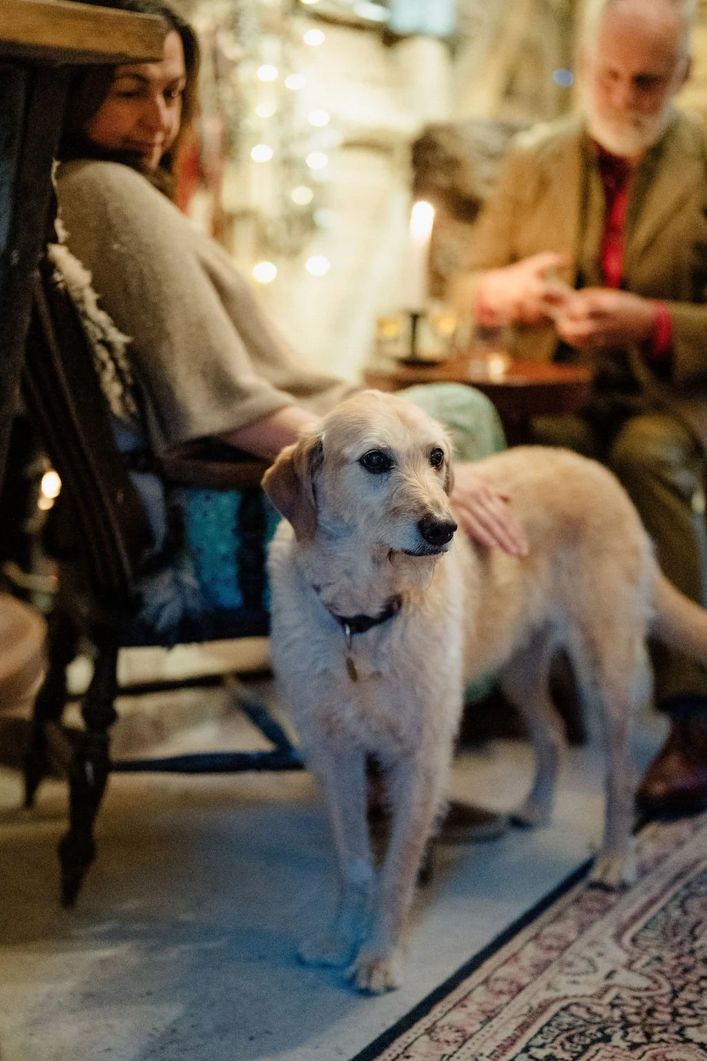 RedfordFarmStaysJune26_SarahLaurenPhotography-476.jpg