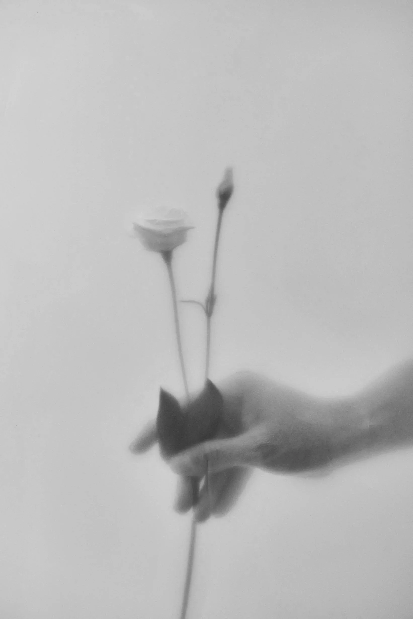 2023-11-24_%C2%A9IsabellaHewlett_FOD_005.jpg