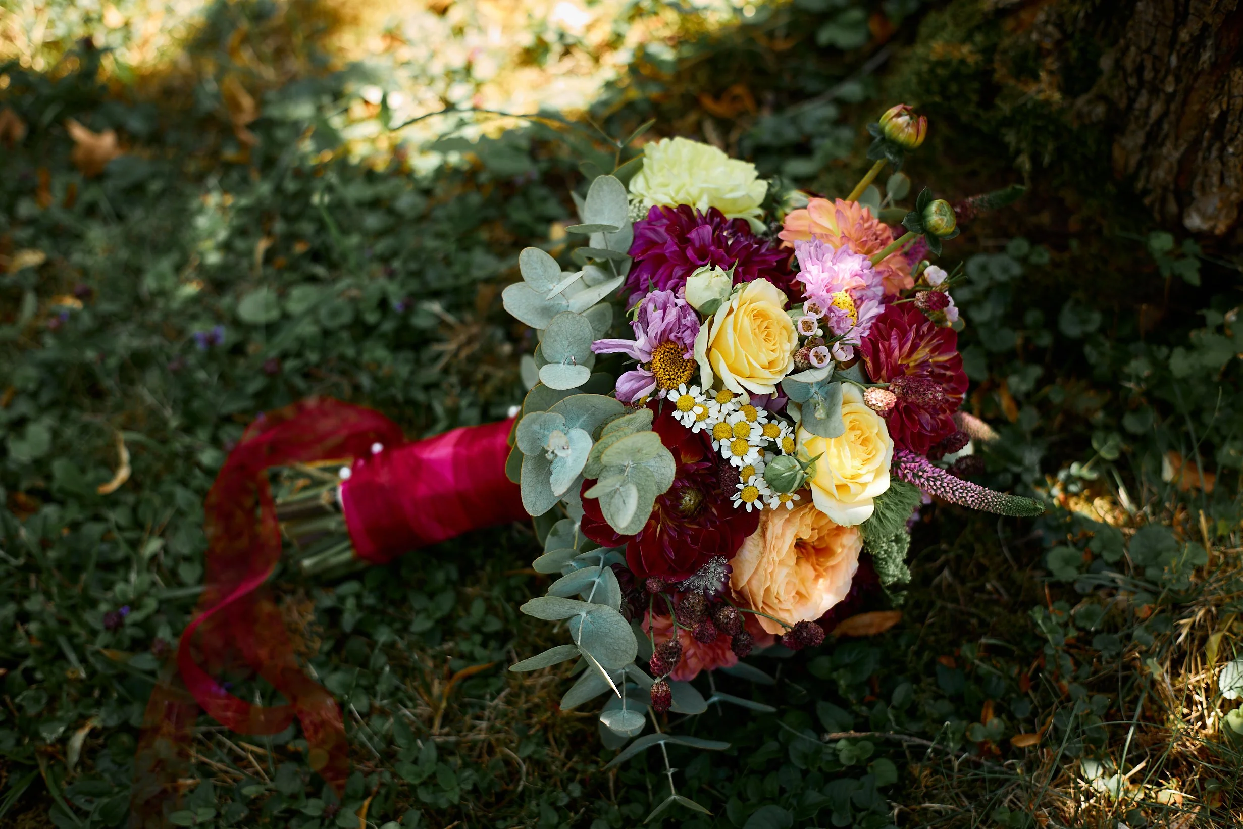 ©IsabellaHewlett_2025-07-12_Carola&Lukas_web_061.jpg
