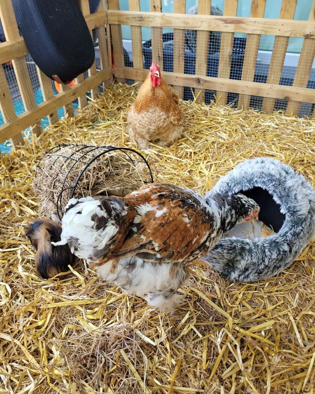 Boer Fons werd 2&hellip; en wij brachten zijn boerderij tot leven.

Bij Wild Wishes draait een thema nooit om decoratie alleen. Het gaat om sfeer, details en dat ene moment waarop kinderen hun ogen openrekken omdat het lijkt alsof ze &eacute;cht even