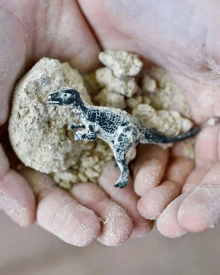 Duik dieper in dino-Pasen

Een quest vol verborgen eieren, prehistorische raadsels en warme familie-high-fives die je kids doen brullen van lol! Voor top 1% families in Vlaanderen: Wild Wishes draait het tot een exclusief avontuur. 

April roept: DM 