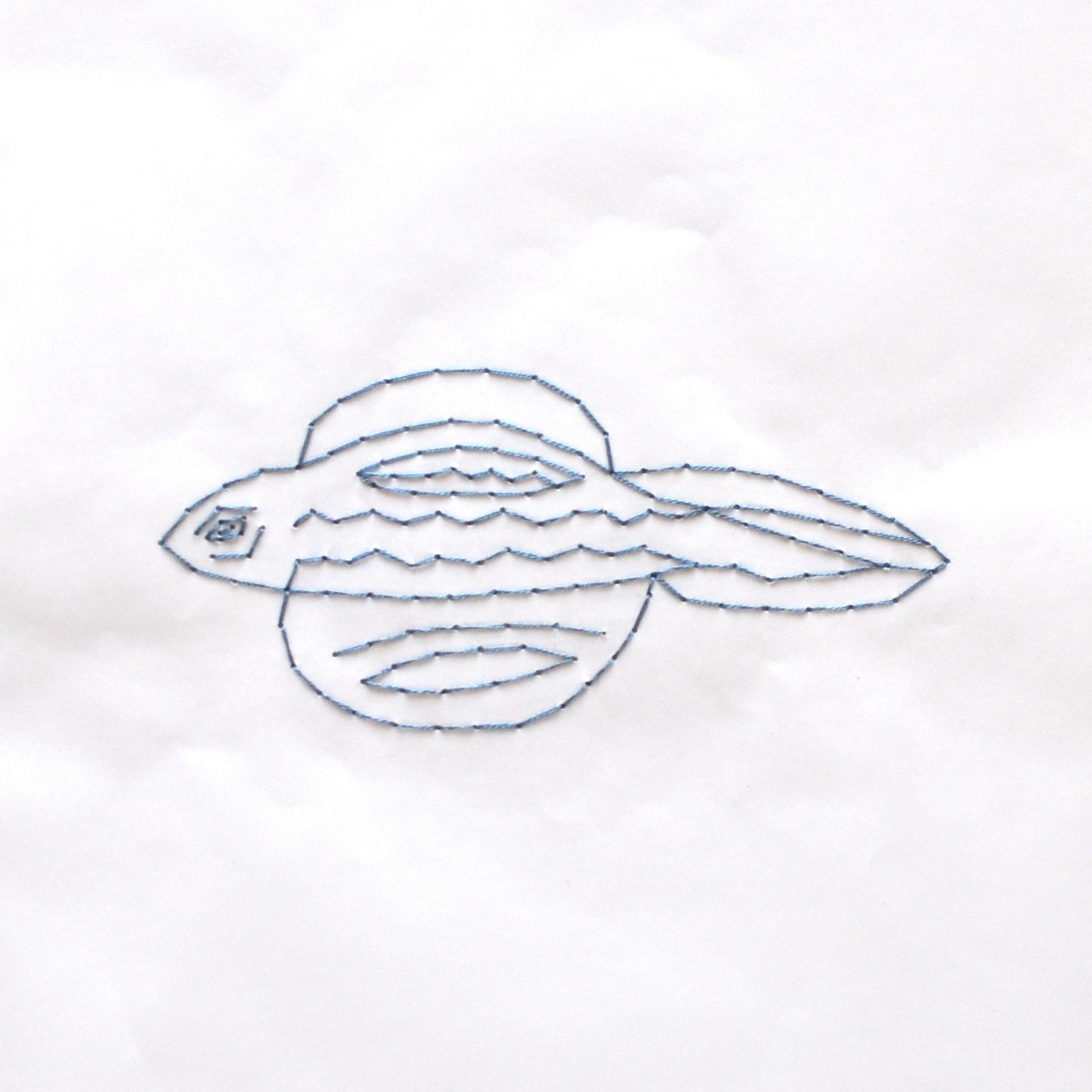THE TRANSPARENT FISH