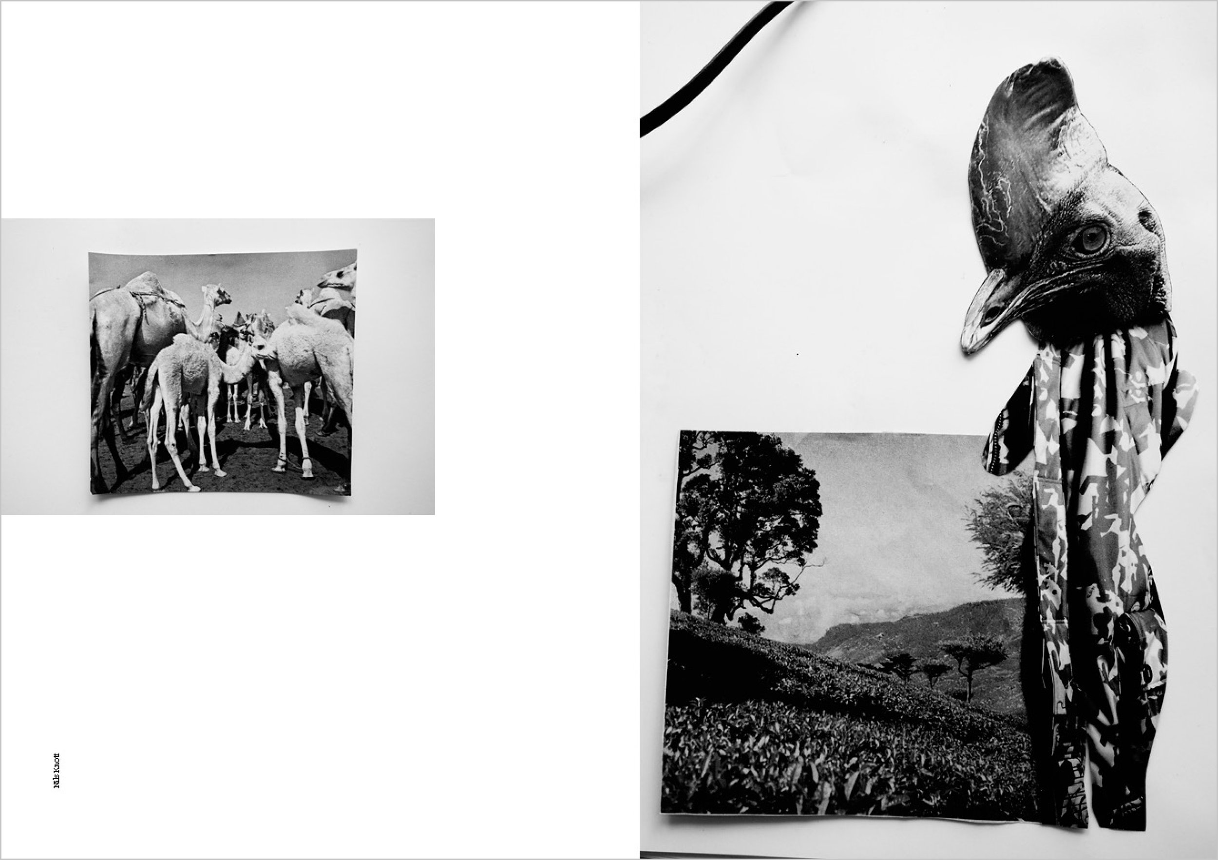 Buch #07 Frame9.jpg