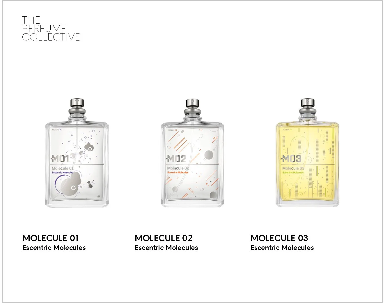 Molecular Lepo 03.jpg