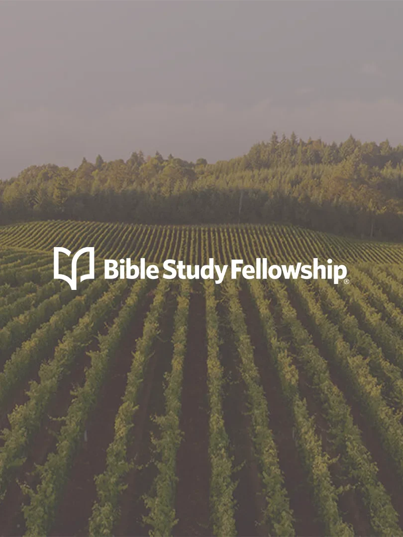 A vineyard with rows of grapevines extending into the distance, surrounded by trees and under a partly cloudy sky, with the text 'Bible Study Fellowship' and a logo of an open book.