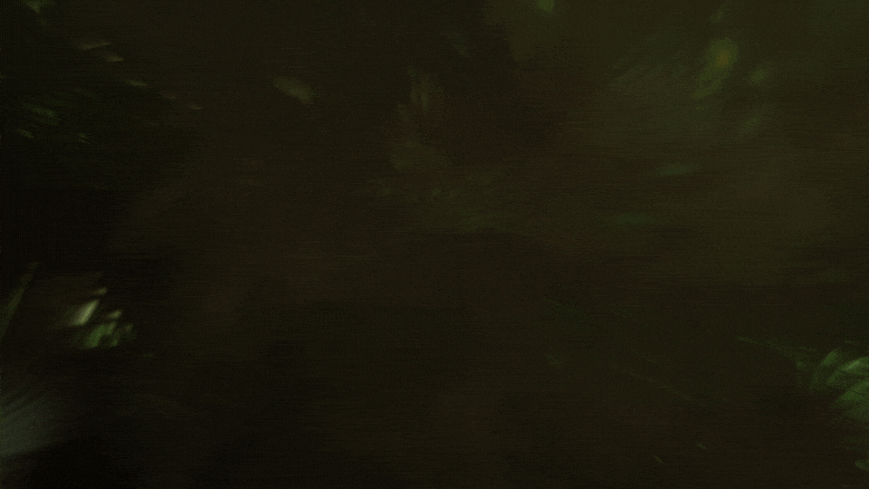 01_Tune_In_Friday_16x9_06_iteration_2.gif