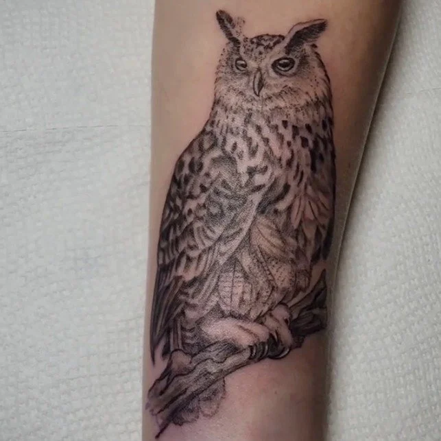 Ready for your next big project? Studio Owner &amp; Resident Artist, Alexis Rosasco, has you covered. Make an appointment today to be one step closer to your dream tattoo! 

To book an appointment with Alexis please visit: https://www.ardesignsnortha