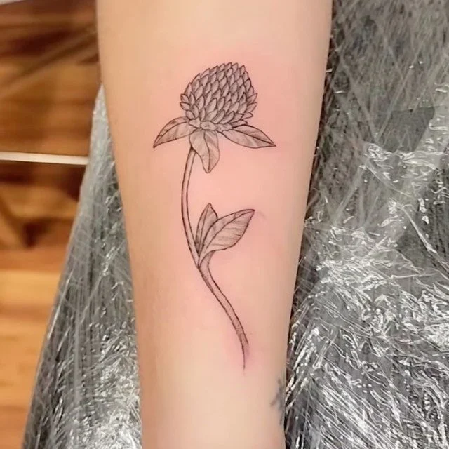 ✨ Alexis Rosasco ✨

To book an appointment with Alexis please visit: https://www.ardesignsnorthadams.com/alexis-rosasco

Contact:
bookingardesignsna@gmail.com
413-398-6433
18 Holden St., North Adams, MA

#floraltattoo #tattoo #tattooart #tattooartist