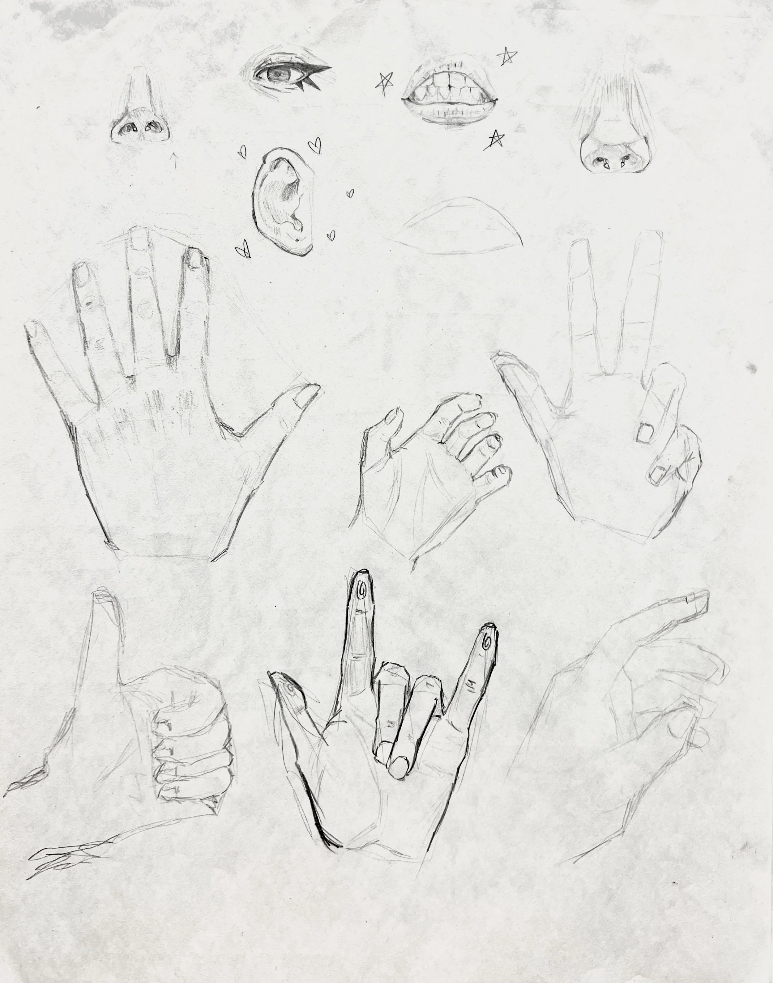 facial features practice