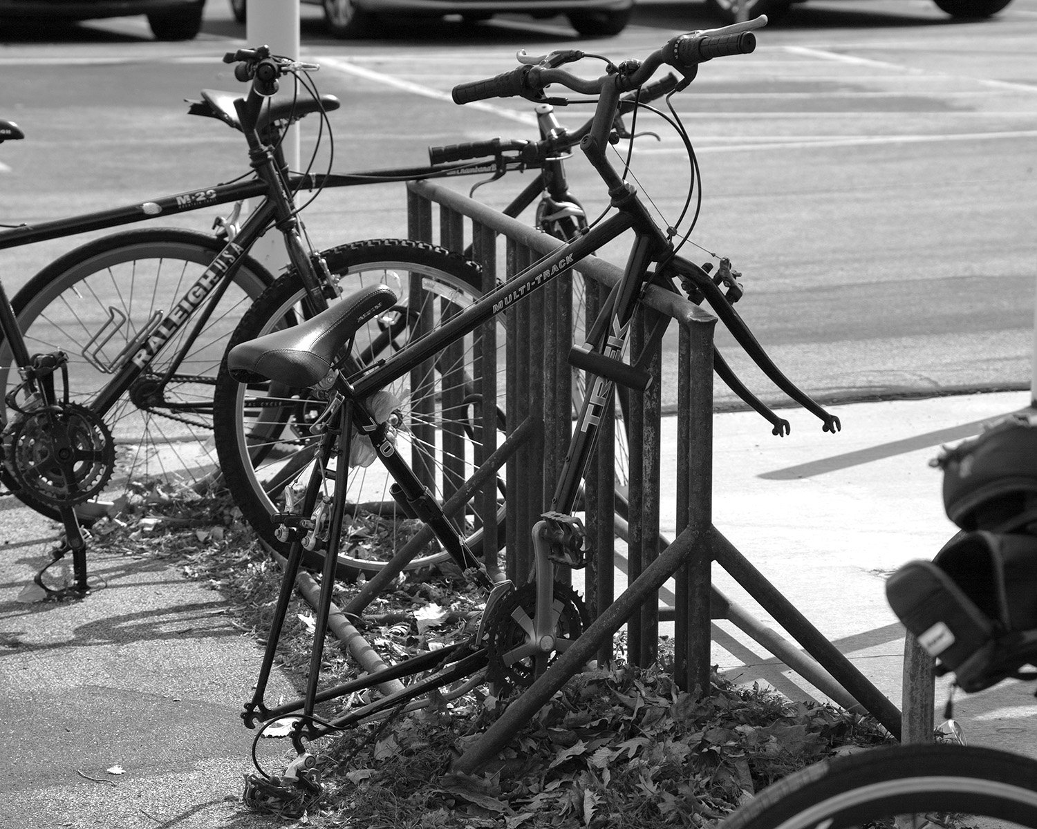 bikes pj2.jpg