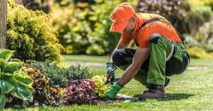 Gardener wearing an orange cap and shirt tending to plants in a garden.