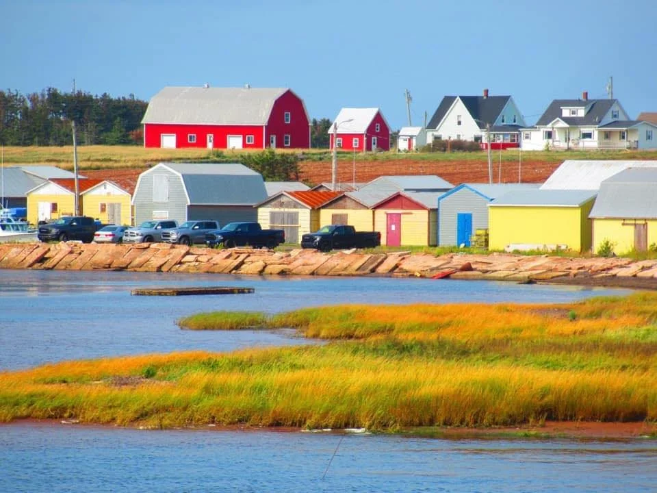 houses from wharf.jpg