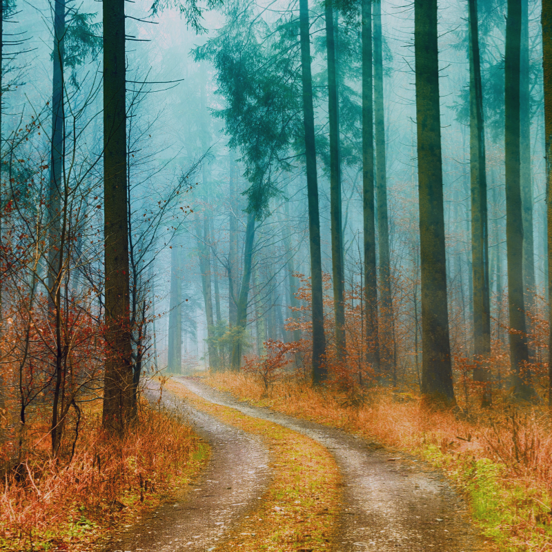 Embracing Transformation: The Power of Change