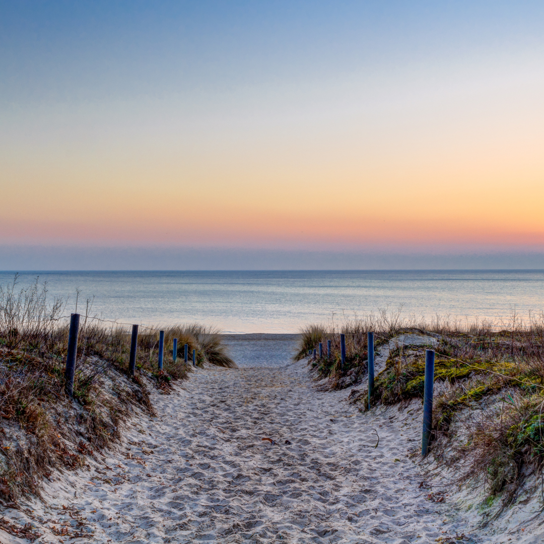Walking the Path and Trusting the Journey