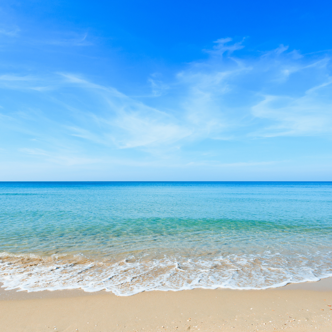 How the Ocean Found Me: A Journey of Connection, Trust and Discovery