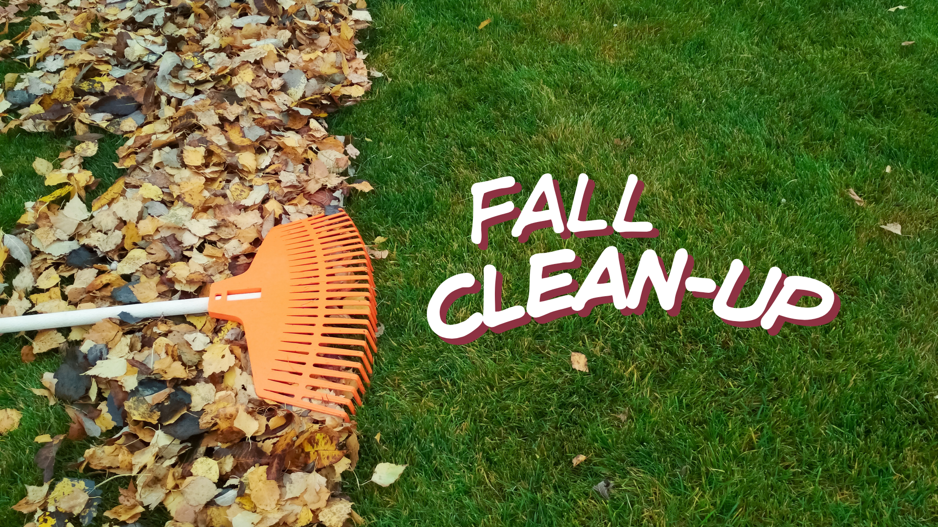 Fall Clean-Up