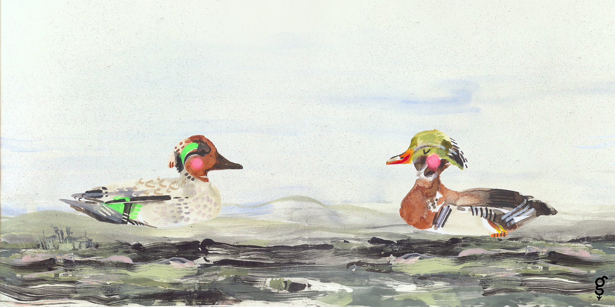 Ducks in love
