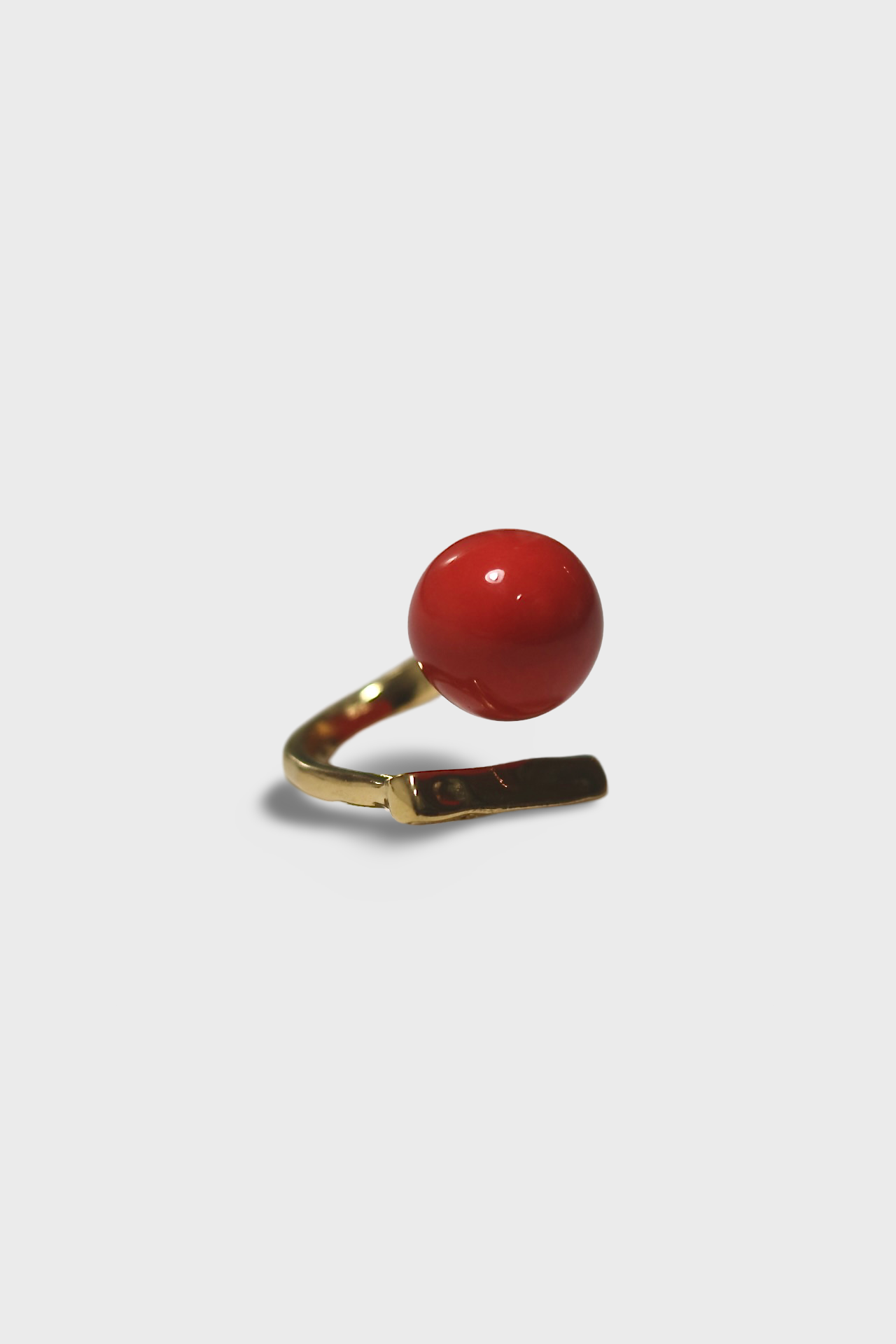 Anillo intercambiable