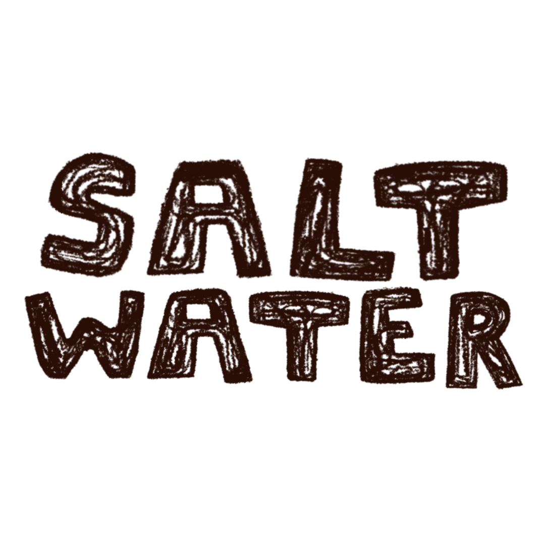 FBDS 2024 PORTFOLIO.png