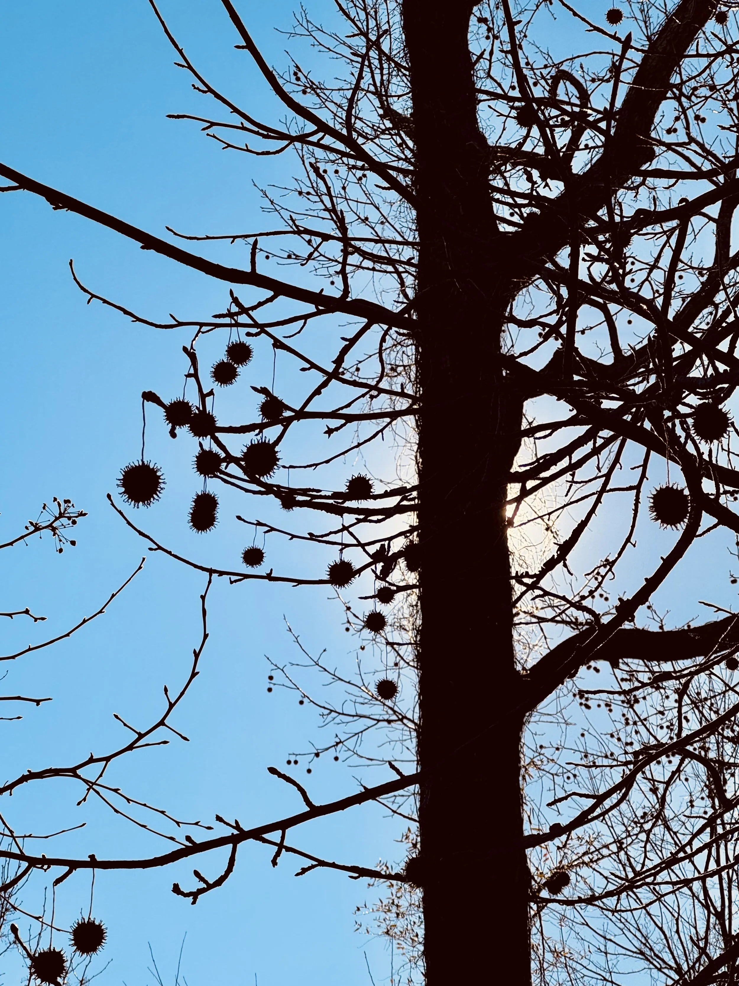 Caregiving and the Invisible Emotional Weight We Carry