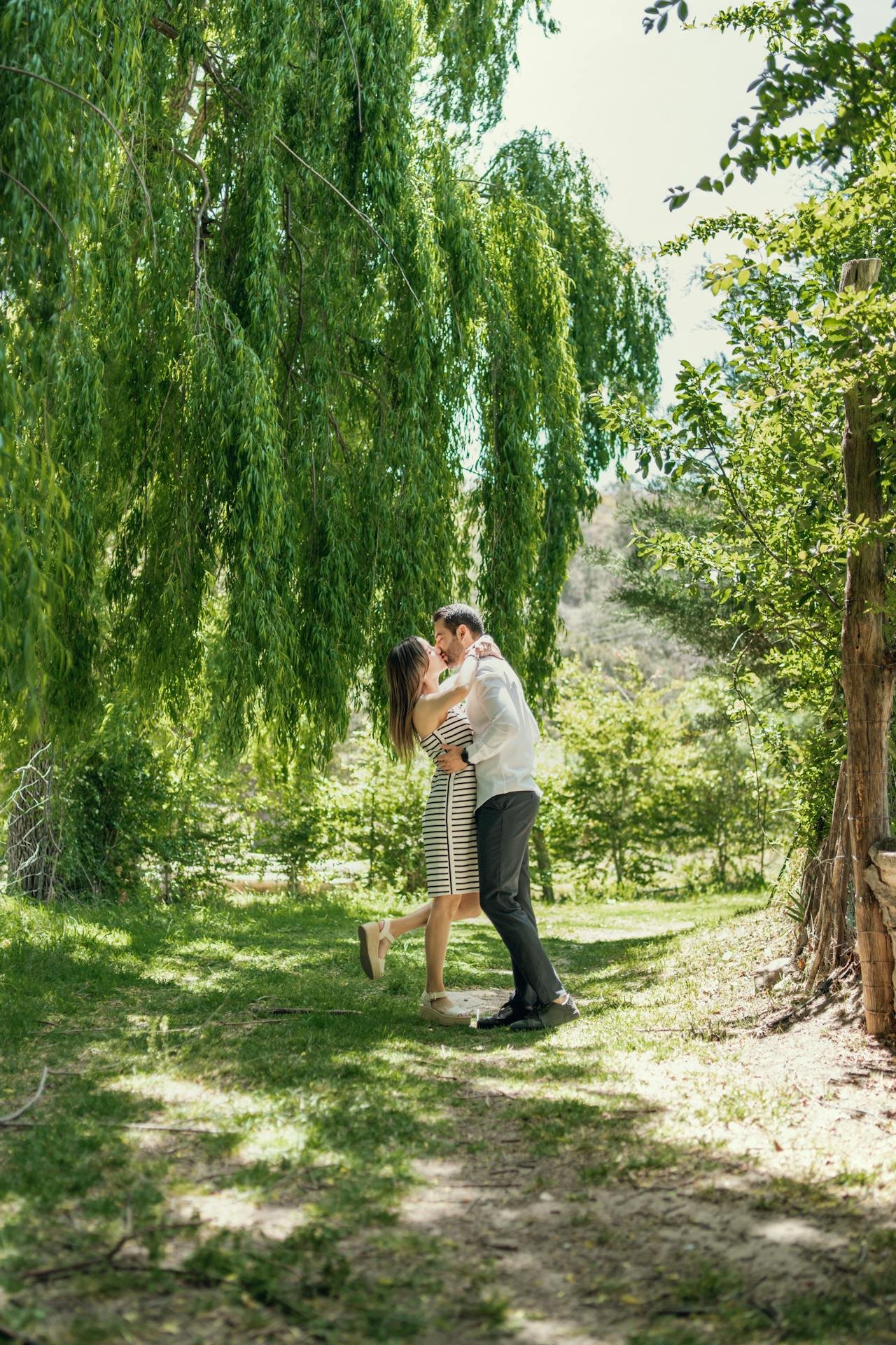 A couple embracing under a willow tree in a sunny, green park.