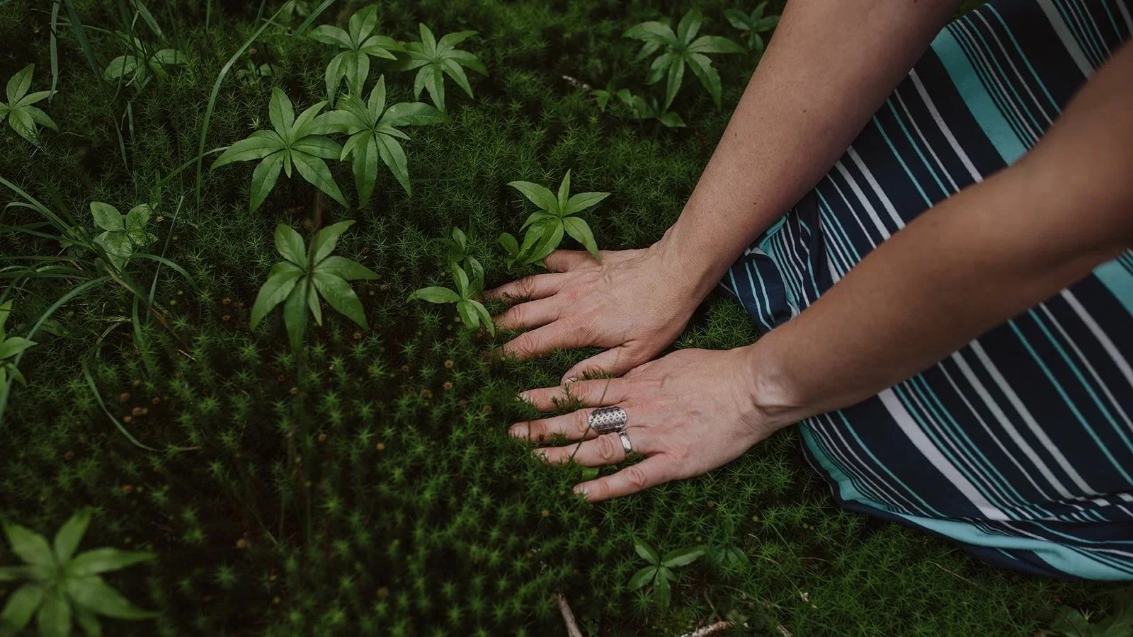 Person with a silver ring touching green plants and moss in a garden.