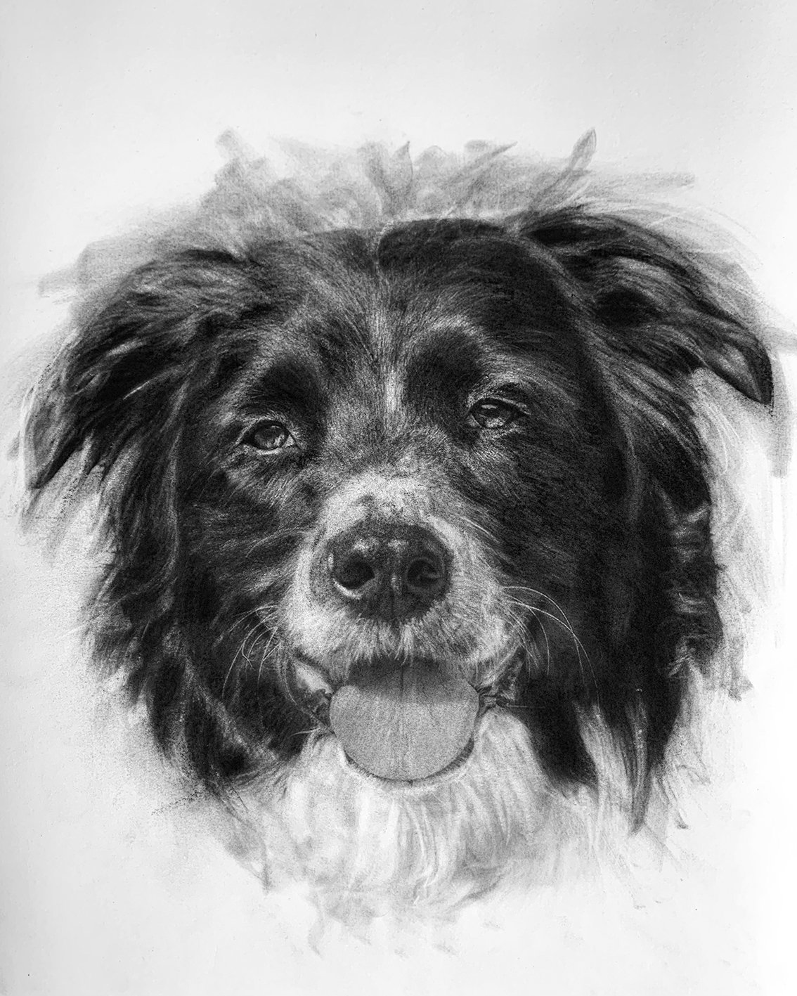 Shahruk Portrait 40x50.jpg