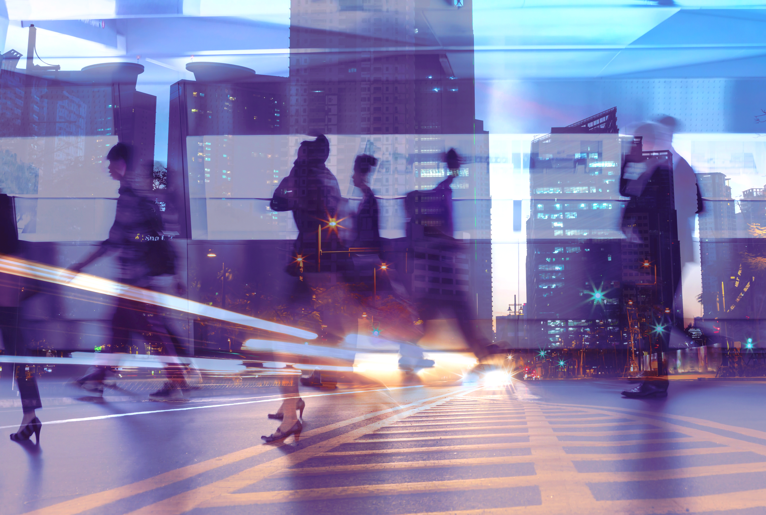 Insights: The Visibility Trap – February 2026