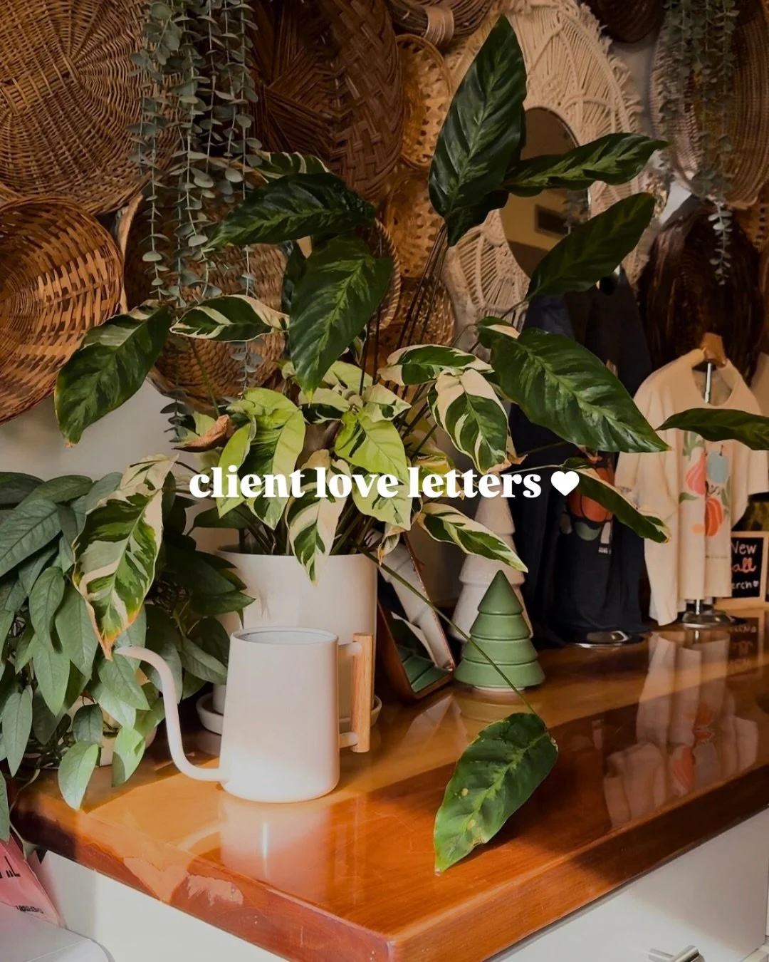 Client Love Letters 💌
Nothing makes us happier than hearing how our work made you feel. Thank you for an incredible year of trust, loyalty, and love 🫶