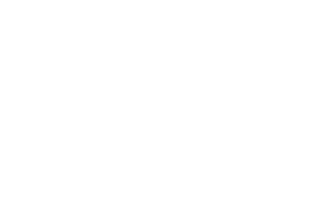 PrimeNP