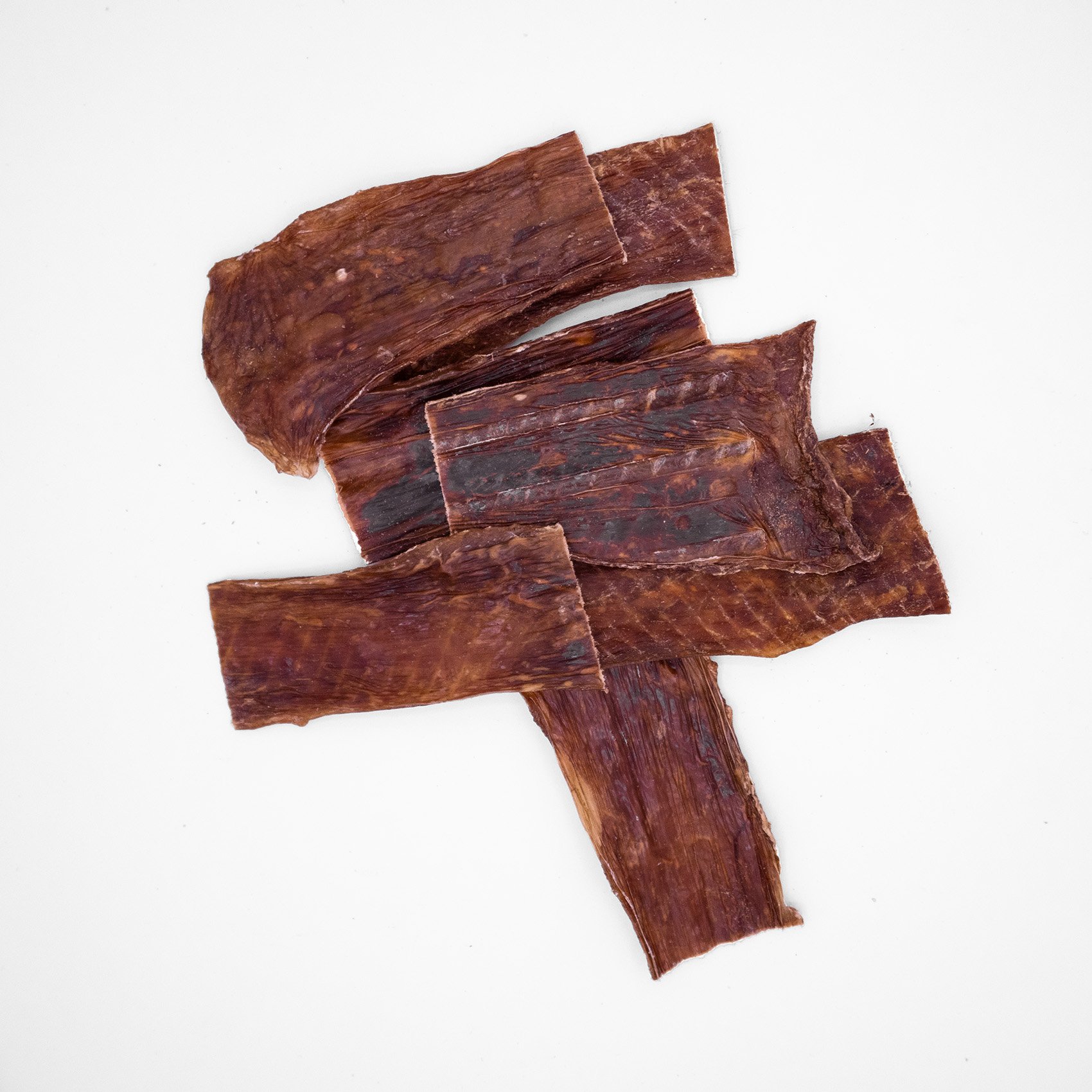 Flat Gullet SM 2.jpg