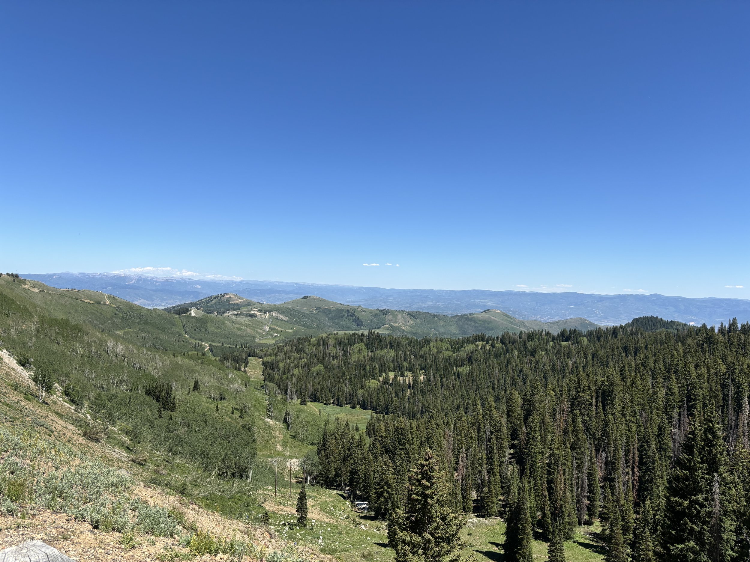 IMG_6315.jpeg