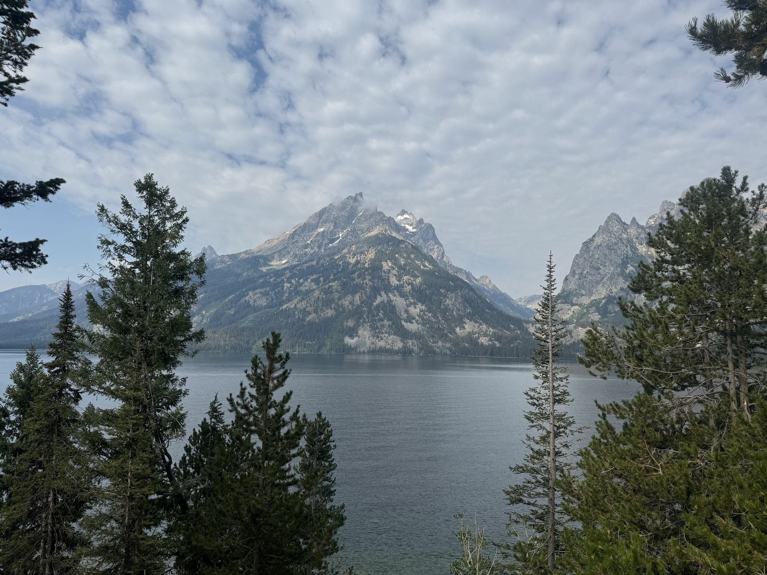 IMG_2454.jpeg