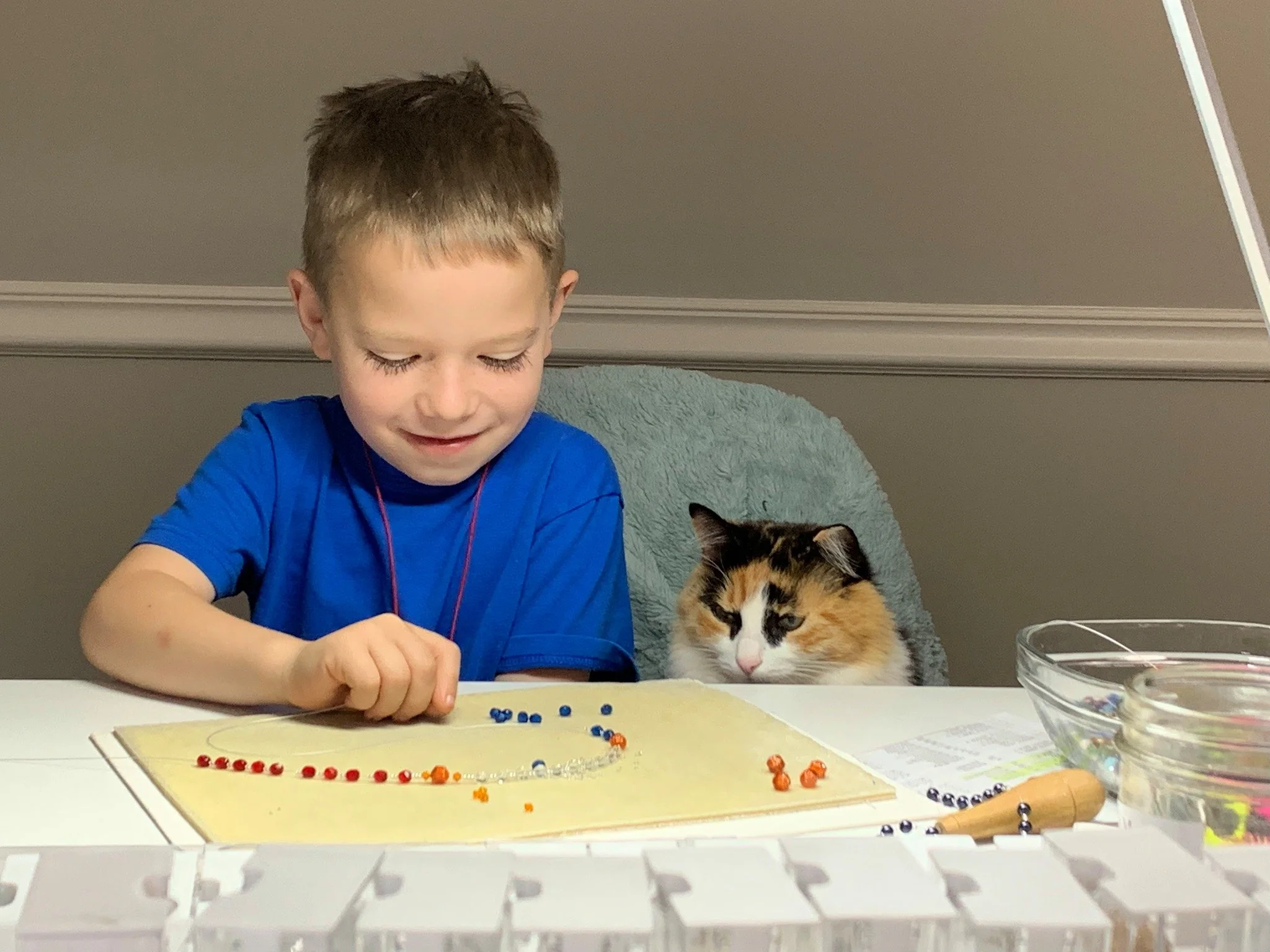 A young boy with brown hair and a blue shirt sits at a table, smiling and playing a bead game with blue, orange, and red beads. A calico cat with white, orange, and black fur is sitting next to him, looking at the beads. There are transparent containers with beads on the table, and the background features a beige wall with white trim.