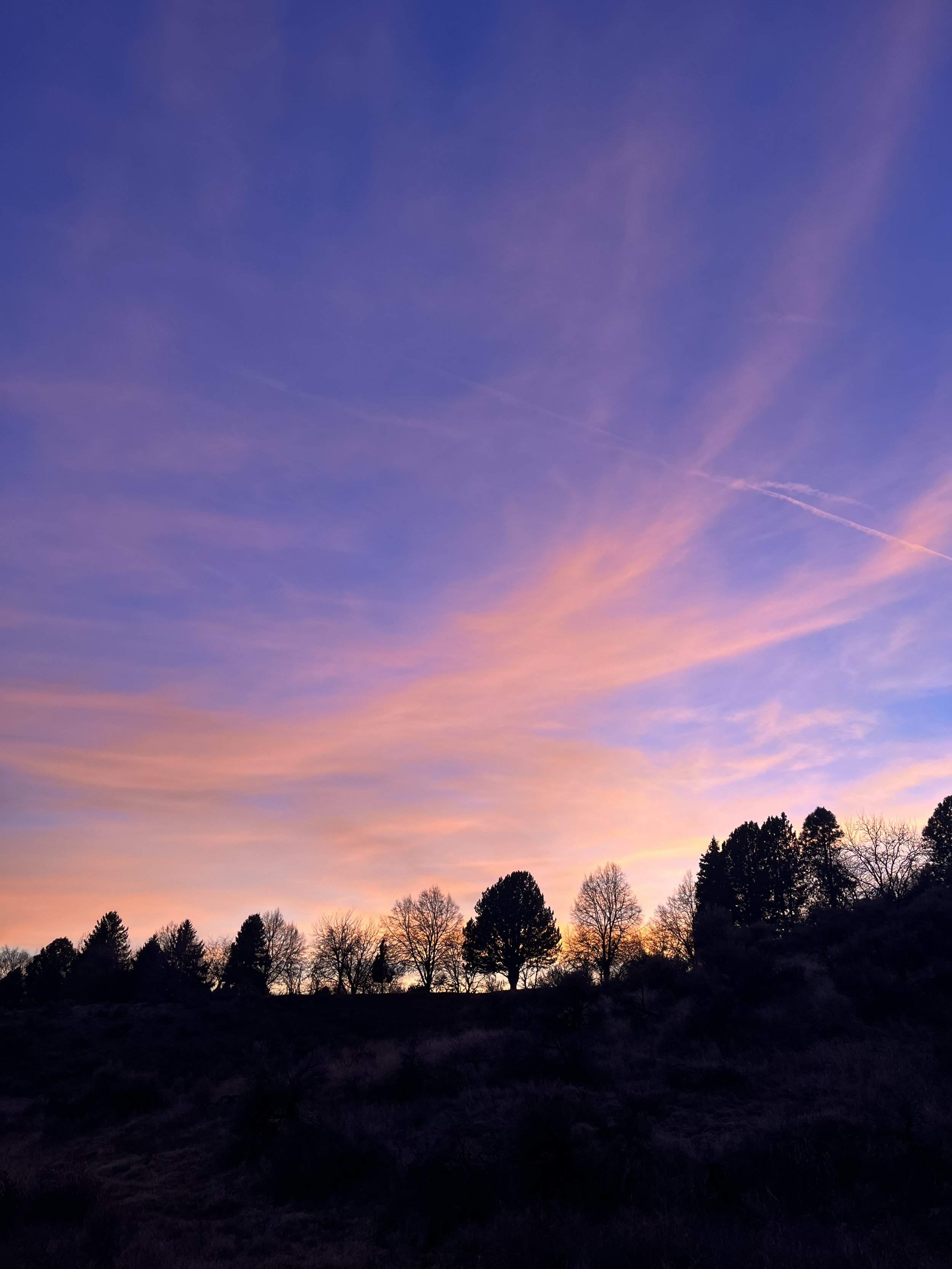 Grounding and Shielding Guided Meditation