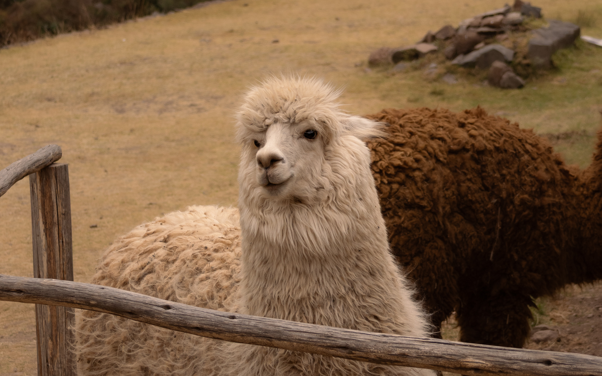 Peru_Sacred-Valley-61.png