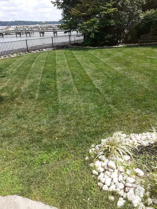 landscaping 6