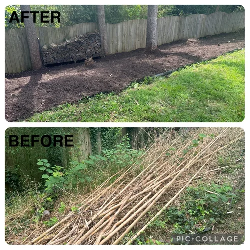 Property Cleanup