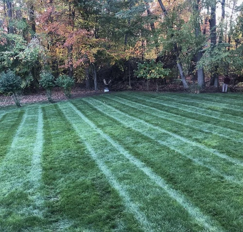 Lawn Mowing