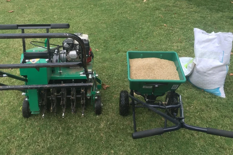 Aeration and Overseeding