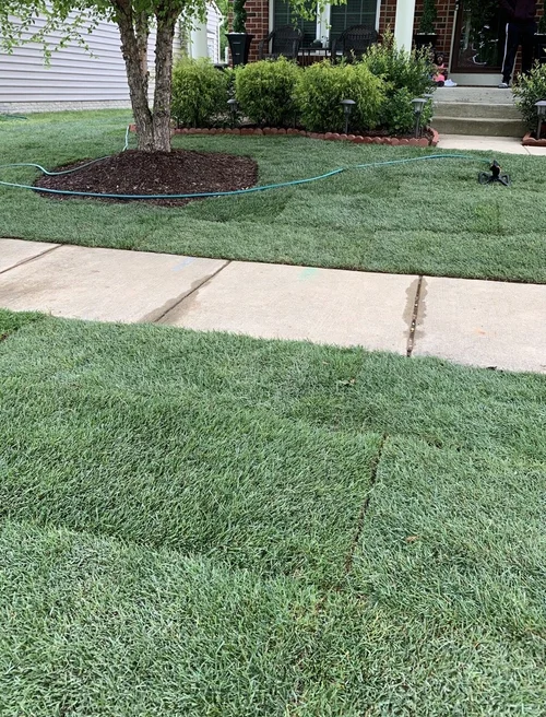 landscaping 4
