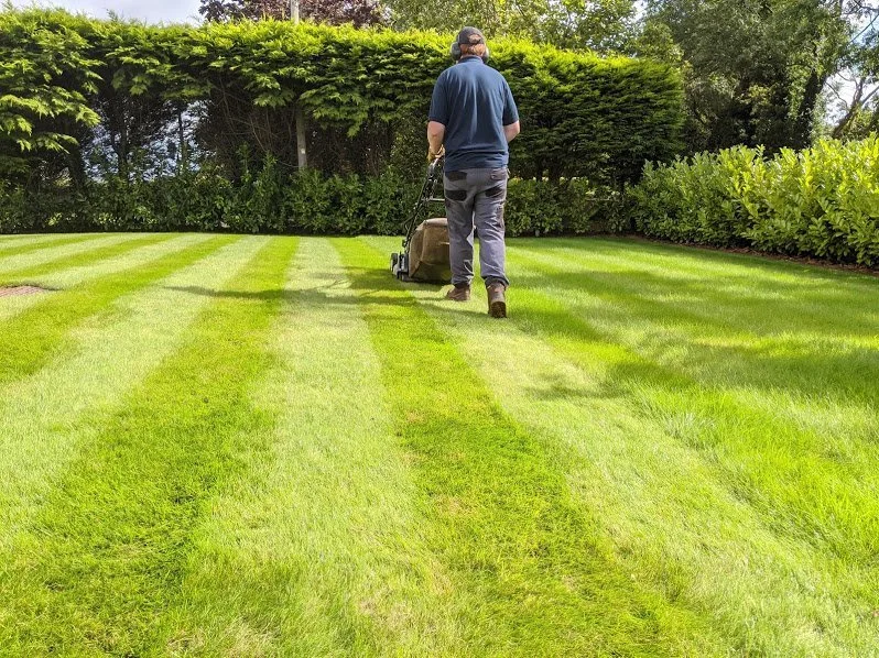 Lawn Care Service