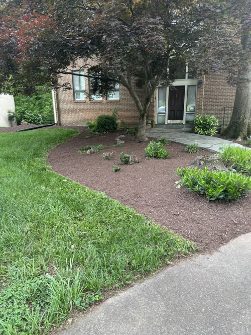 landscaping 14