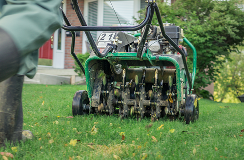 landscaping 17