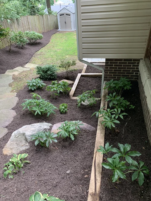 landscaping 20