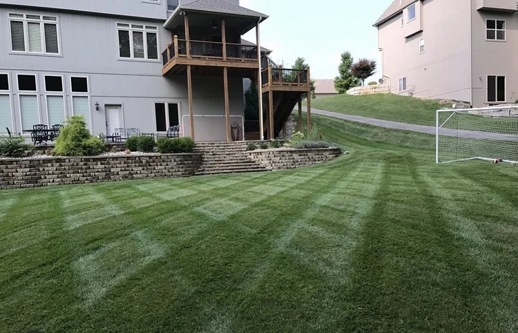 Lawn Care