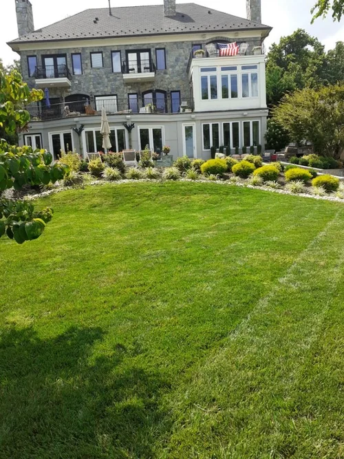 landscaping 7