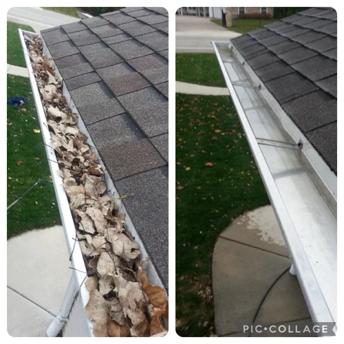 Weed Removal