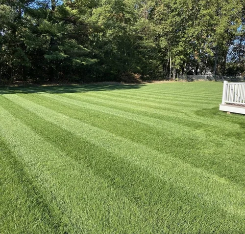 landscaping 10